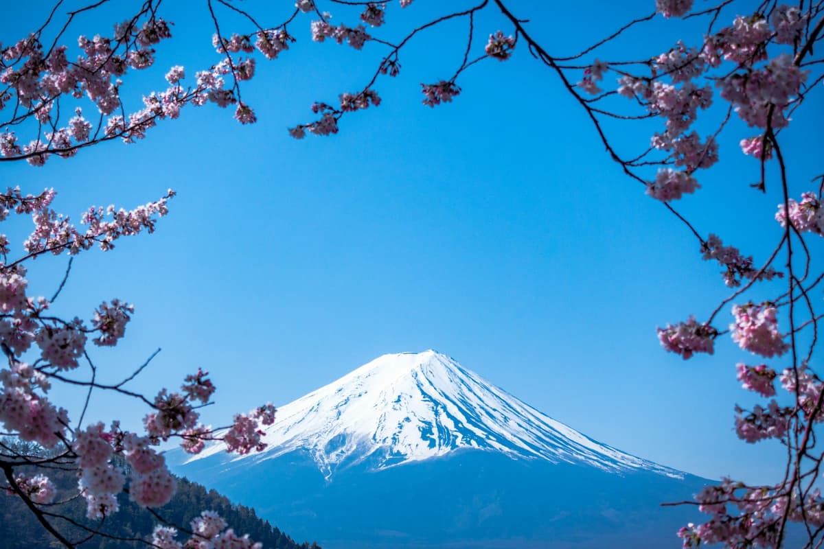 Mt Fuji dengan cherry blossom mekar di Honshu, Jepang